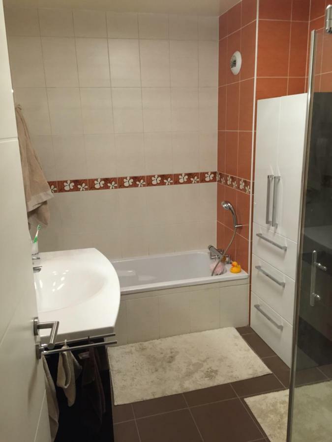 Appartement Des Trois Frontieres Apach Eksteriør billede